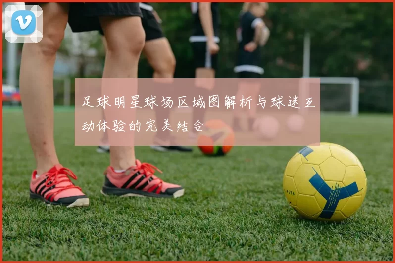 足球明星球场区域图解析与球迷互动体验的完美结合