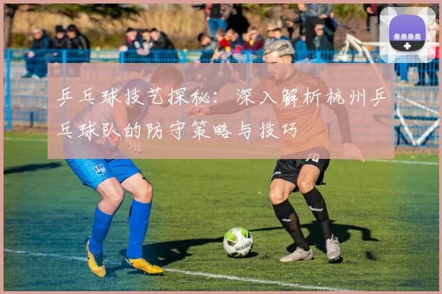 乒乓球技艺探秘：深入解析杭州乒乓球队的防守策略与技巧