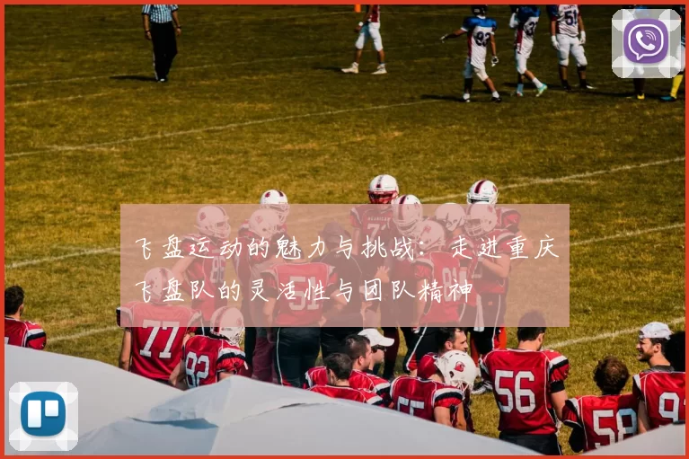 飞盘运动的魅力与挑战：走进重庆飞盘队的灵活性与团队精神