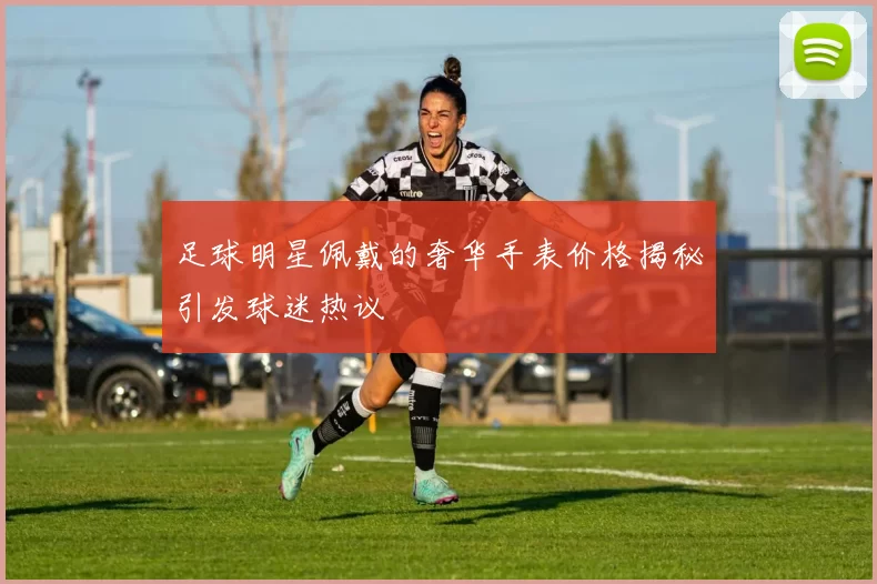 足球明星佩戴的奢华手表价格揭秘引发球迷热议