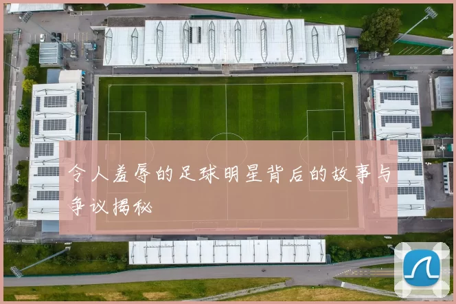 令人羞辱的足球明星背后的故事与争议揭秘