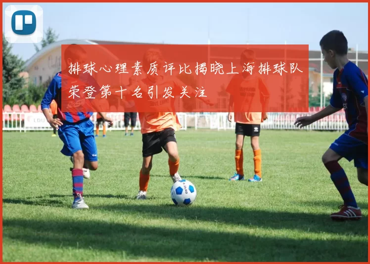 排球心理素质评比揭晓上海排球队荣登第十名引发关注