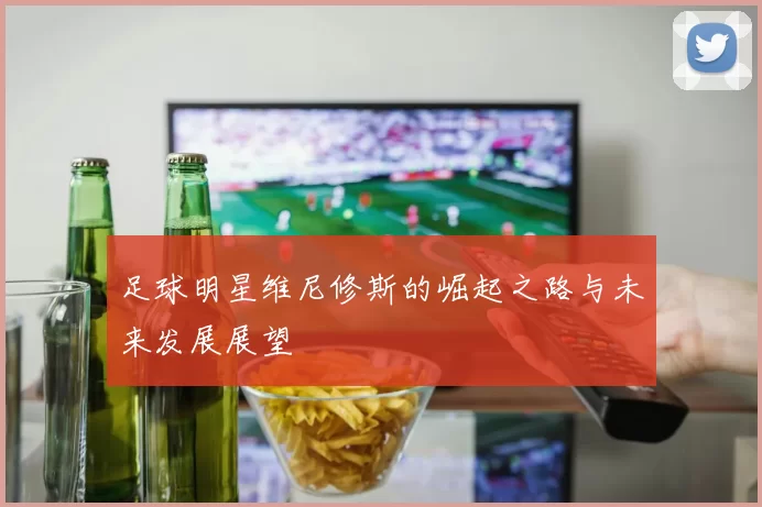 足球明星维尼修斯的崛起之路与未来发展展望