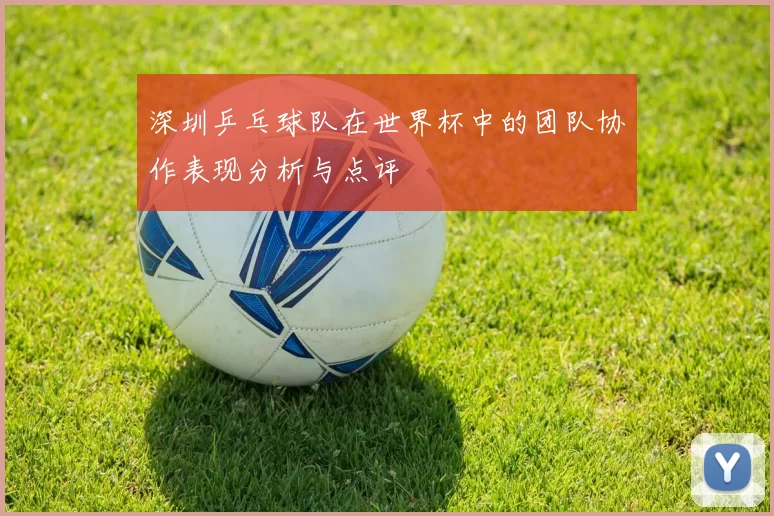 深圳乒乓球队在世界杯中的团队协作表现分析与点评