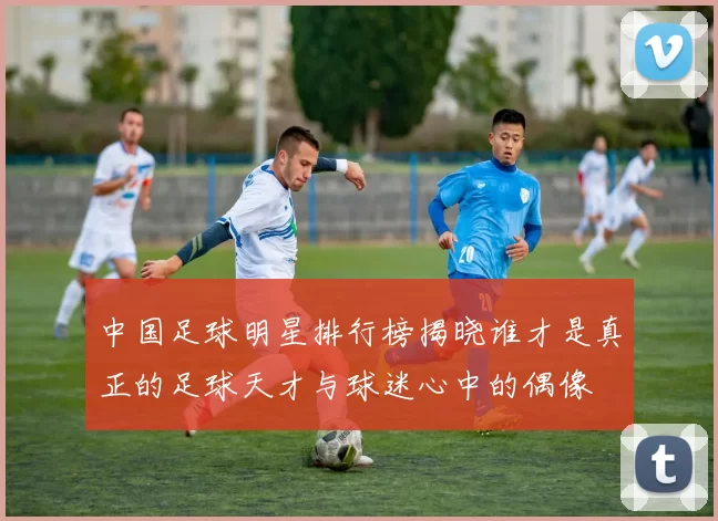 中国足球明星排行榜揭晓谁才是真正的足球天才与球迷心中的偶像