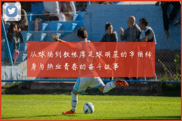 从球场到教练席足球明星的华丽转身与热血青春的奋斗故事
