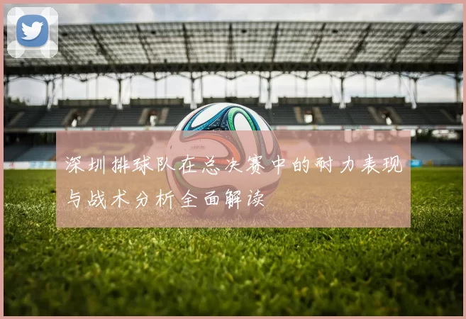 深圳排球队在总决赛中的耐力表现与战术分析全面解读