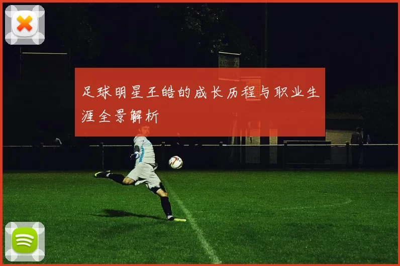 足球明星王皓的成长历程与职业生涯全景解析