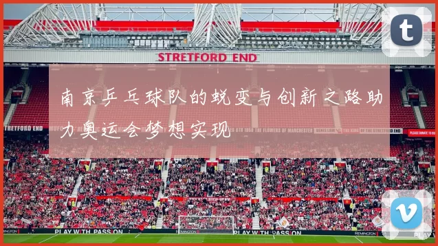 南京乒乓球队的蜕变与创新之路助力奥运会梦想实现
