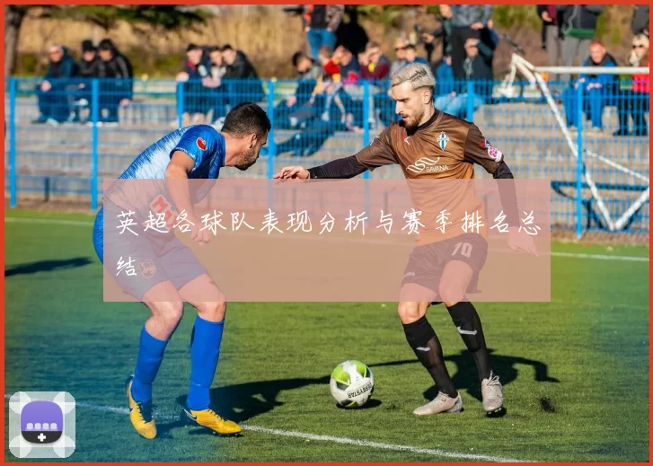英超各球队表现分析与赛季排名总结